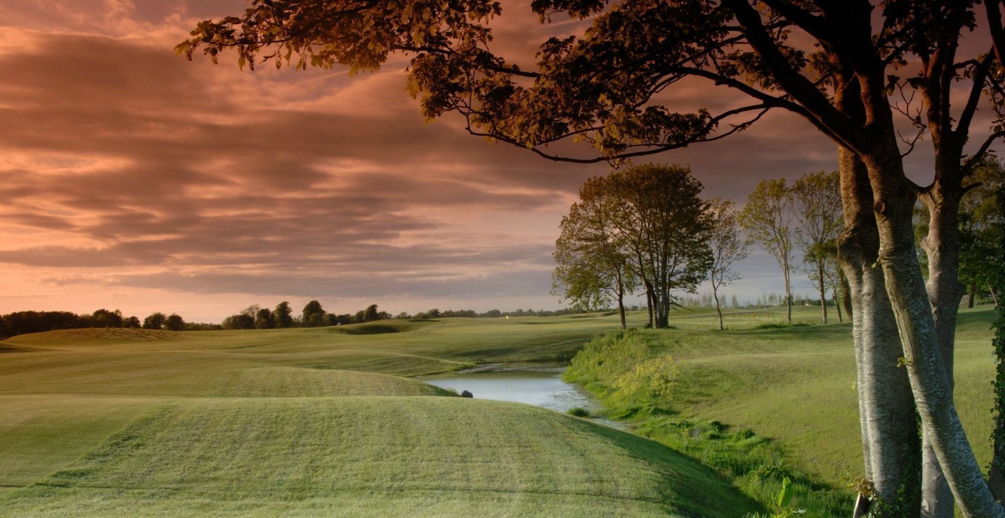 Moyvalley Hotel & Golf Resort Bagian luar foto